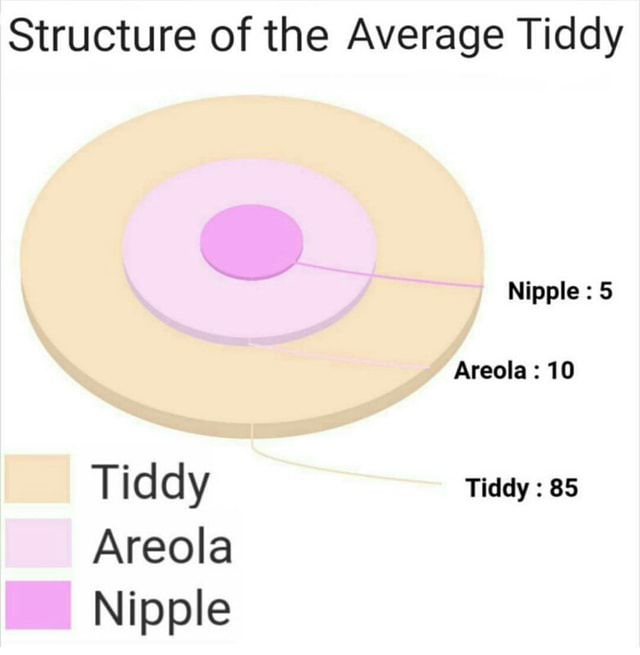 Structure of the Average Tiddy Nipple Areola )