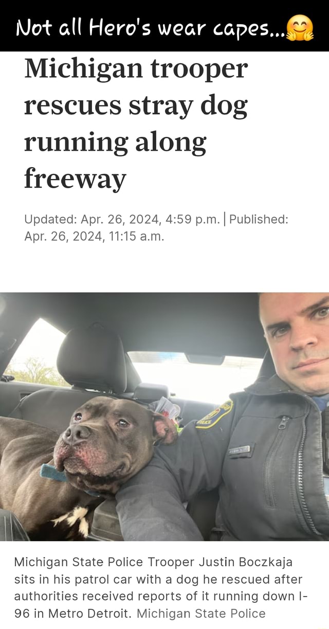 Not all Hero's wear capes... Michigan trooper rescues stray dog running ...