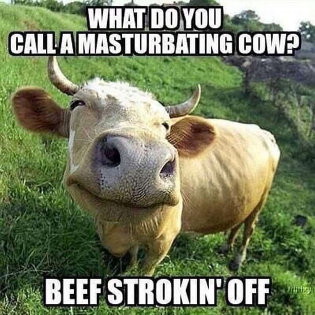 Mid af E So's Sine: BEEF STROKIN; OFF y a bl ATINA i - iFunny Brazil