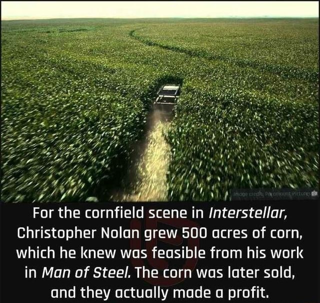 For the cornfield scene in Interstellar, Christopher Nolan grew 500
