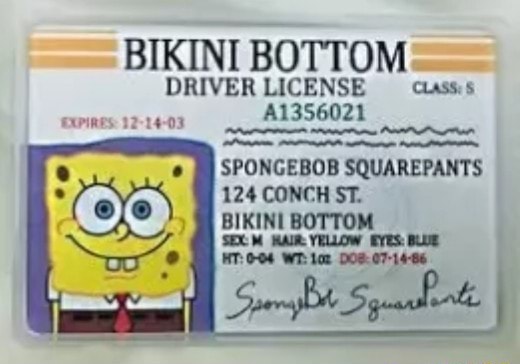 BIKINI BOTTOM DRIVER LICENSE -ciass.s A1356021 SPONGEBOB SQUAREPANTS ...