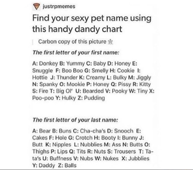 Ustrpmemes Find Your Sexy Pet Name Using This Handy Dandy Chart Carbon Copy Ol Lhls Plclure A The ﬁrst Latter A Your ﬁrst Namo A Donkey B Yummy 0 Baby 0