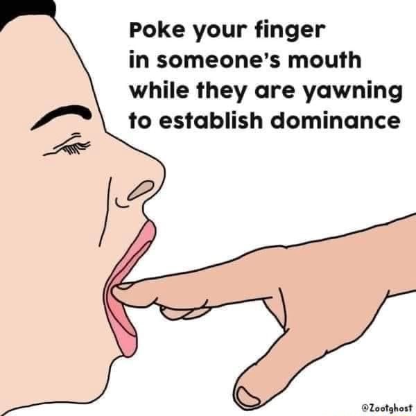 poke-your-finger-in-someone-s-mouth-while-they-are-yawning-to-establish