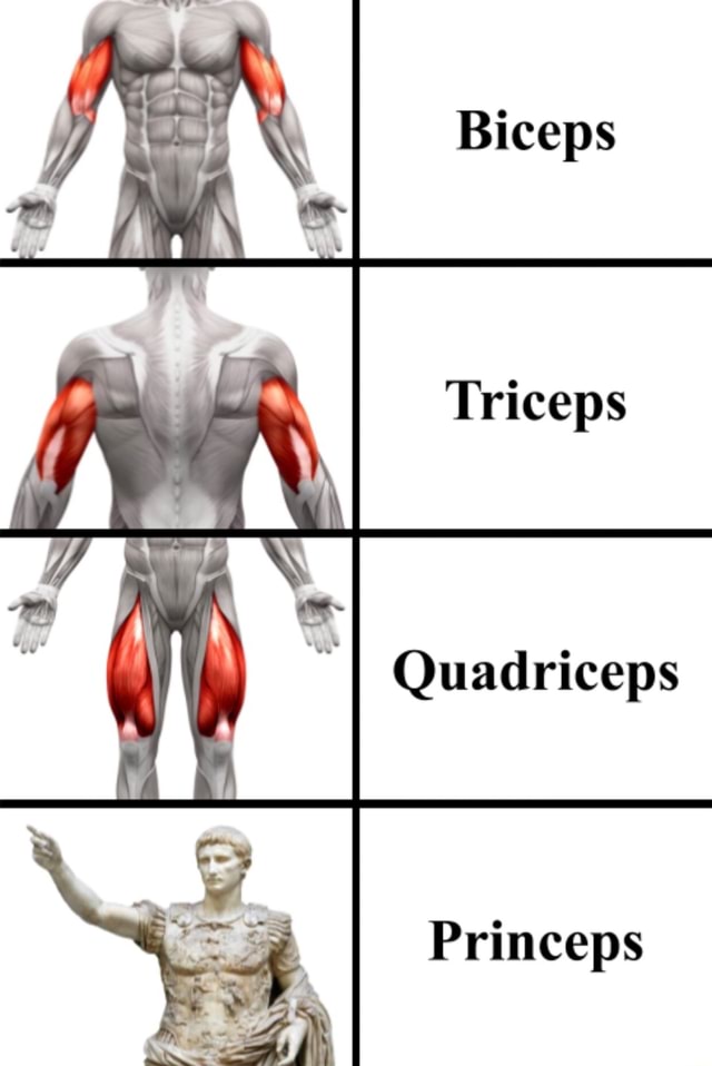 Biceps, triceps, quadriceps | Greeting Card