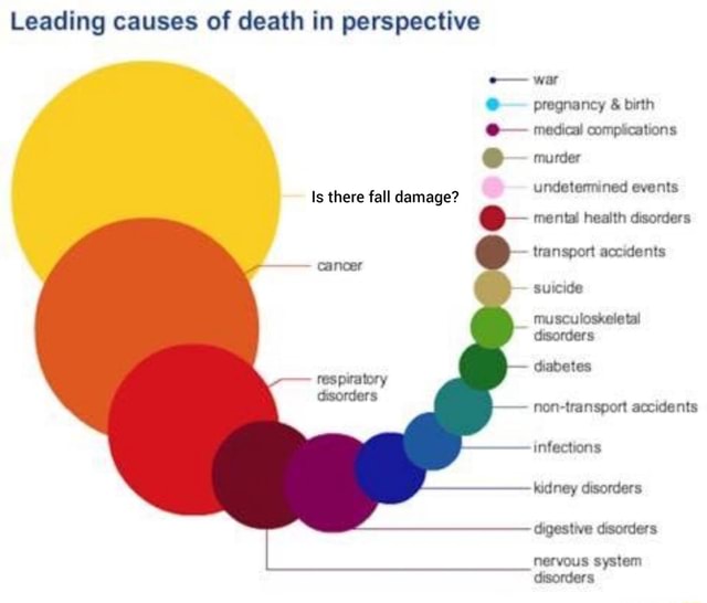 Leading causes of death in perspective - )