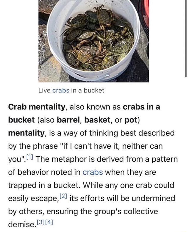 Live crabs in a bucket Crab mentality, also known as crabs ina bucket (also barrel, basket, or