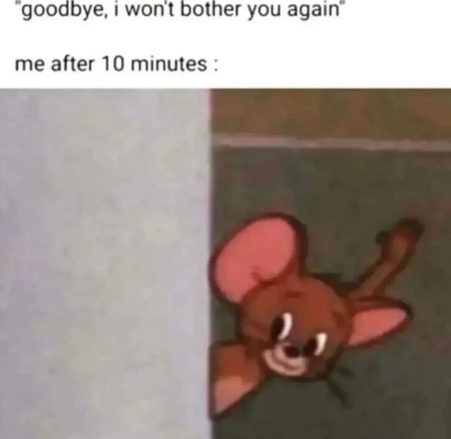 Goodbye, I wont bother you again me after 10 minutes - iFunny