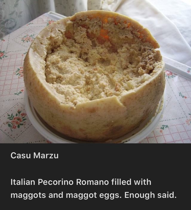 Italian Pecorino Romano filled with maggots and maggot eggs. Enough