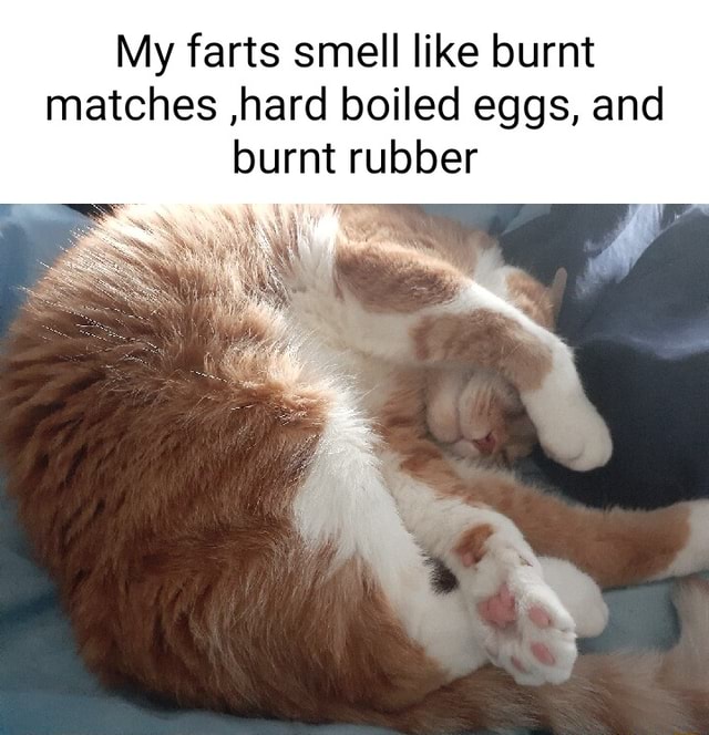 My farts smell like burnt matches ,hard boiled eggs, and burnt rubber