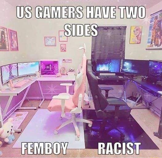 US GAMERS HAVE TWO SIDES FEMBOY RACIST - )