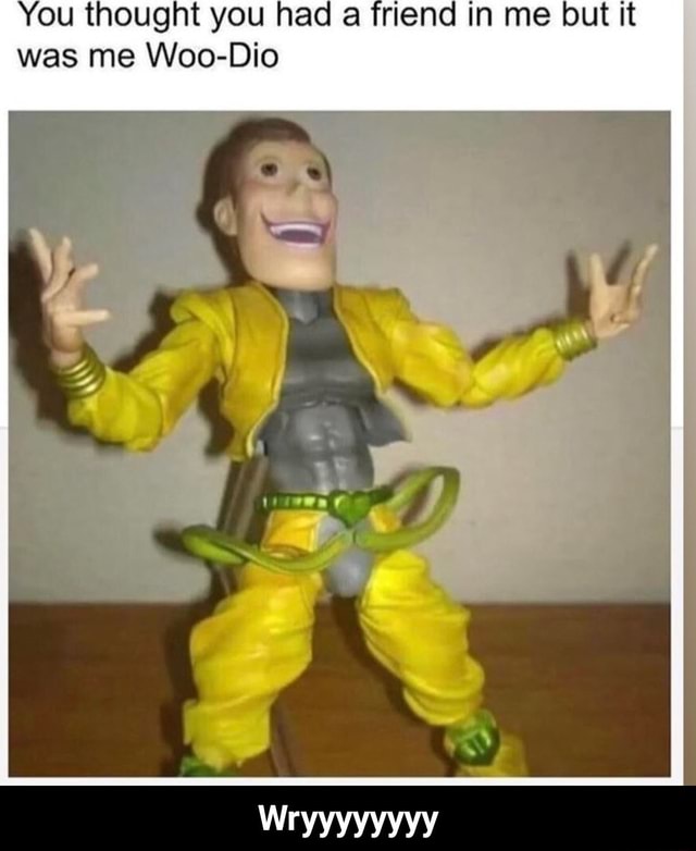 You Thought You Had A Friend In Me But It Was Me Woo Dio Wryyyyyyyy