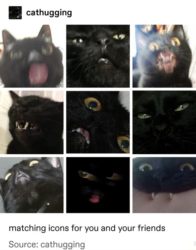 icons, headers, etc. — cat icons please like or reblog if you use