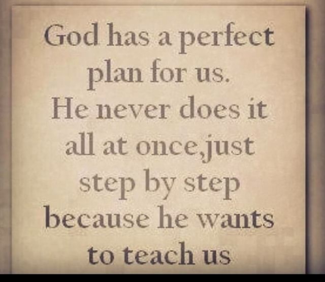 god-has-a-perfect-plan-for-us-he-never-does-it-all-at-once-just-step