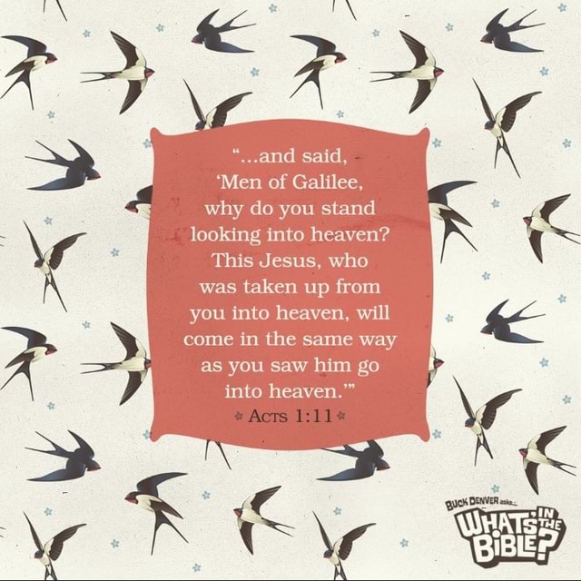 and said, 'Men of Galilee, why do you stand looking into heaven? This