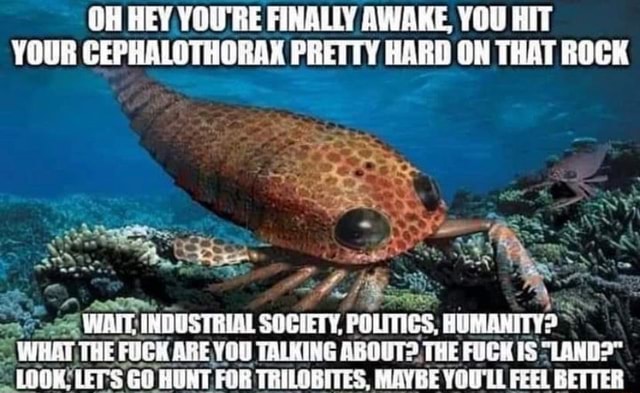 Oh Hey Youre Finally Awake You Hit Your Cephalothorak Pretty Hard On That Rock Wate Industrial Society Polities Humanity What The Fock Are You Talking About The Fuck Is Land Look Lets