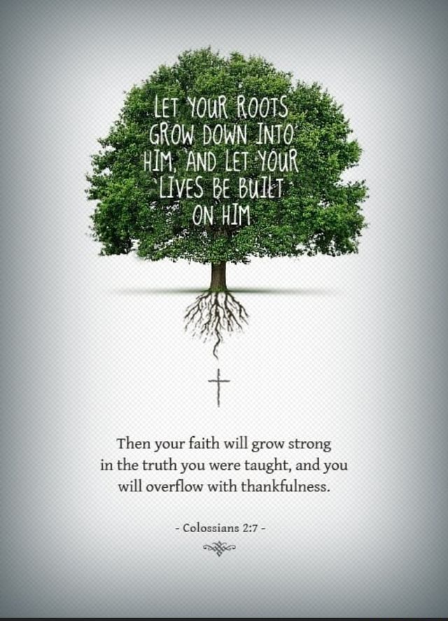 your-roots-and-let-then-your-faith-will-grow-strong-in-the-truth-you