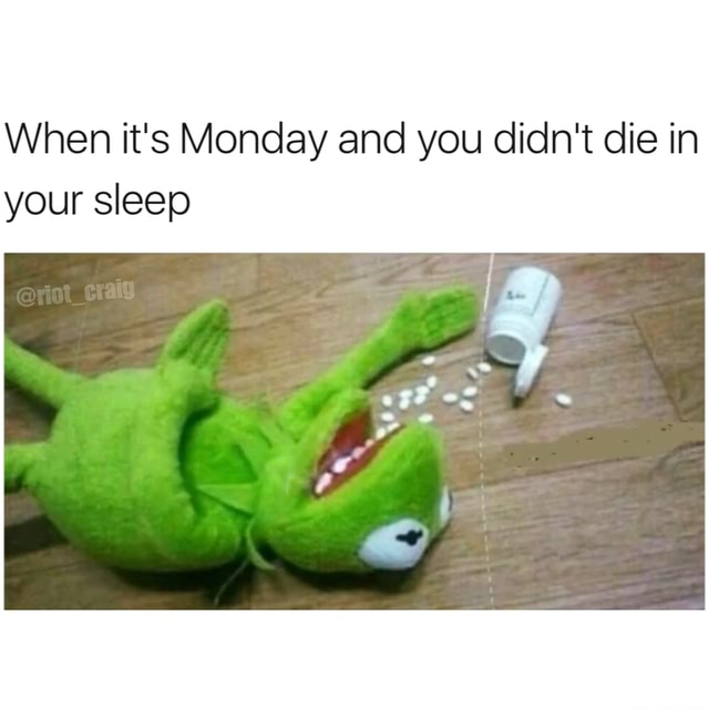 funny meme memes comedy kermit pills When it's Monday and you