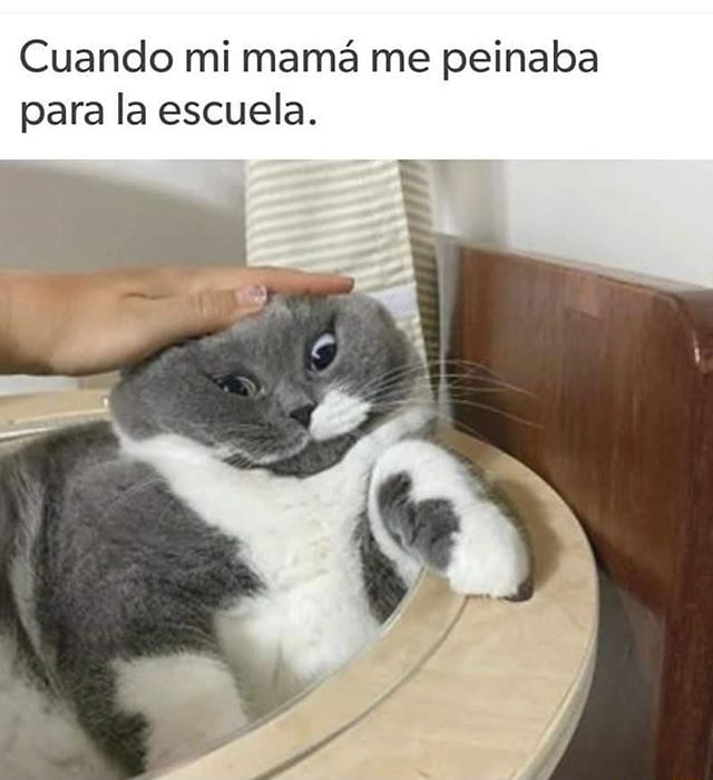 Cuando mi mama me peinaba para la escuela. - iFunny