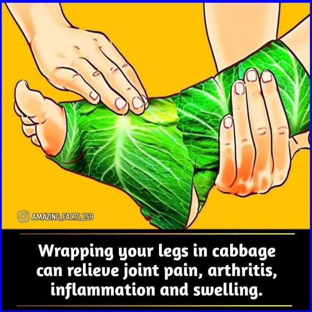 Wrapping your legs in cabbage can relieve joint pain, arthritis