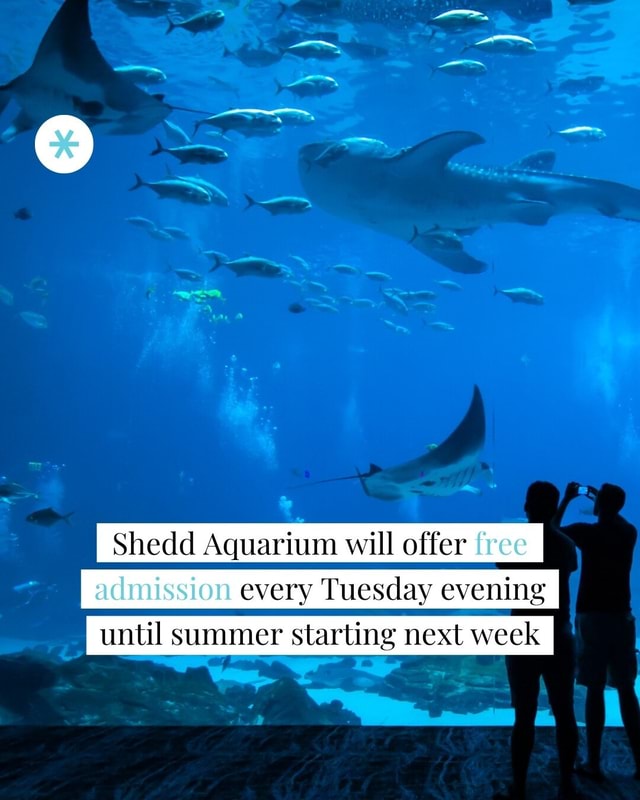 LINK IN BIO Next week Shedd Aquarium will begin offering Illinois