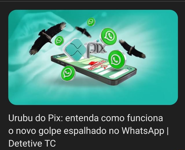 Urubu Do Pix: Entenda Como Funciona O Novo Golpe Espalhado No WhatsApp ...