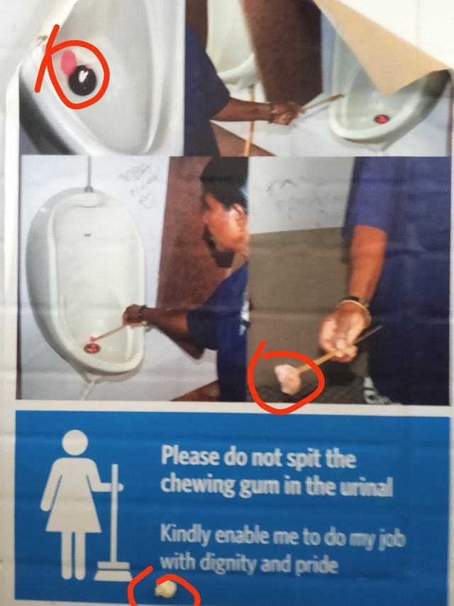 If Please Do Not Spit The Chewing Gum In The Urinal Kindly Enable Me To Do Mny Jab With Dignity 