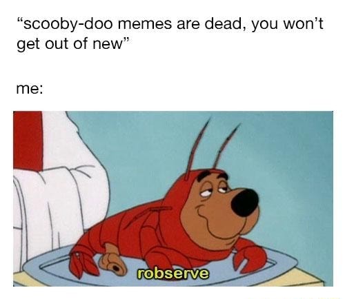 “scooby-doo memes are dead, you won’t get out of new