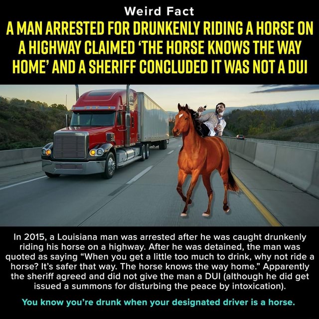 Weird Fact A MAN ARRESTED FDR DRUNKENLY RIDING A HORSE [IN A HIGHWAY ...