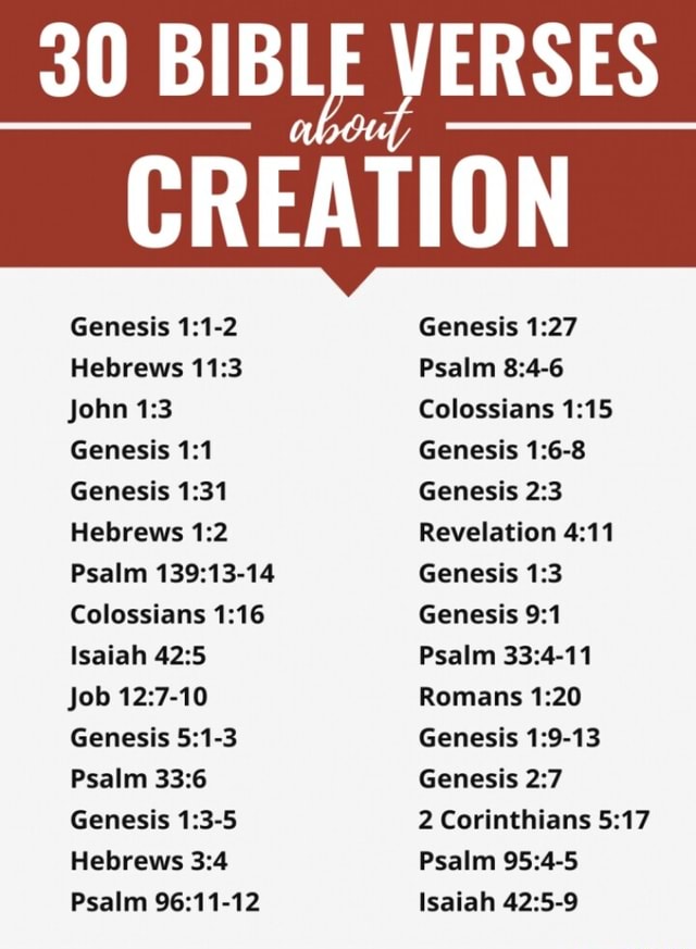 30 BIBLE VERSES CREATION Genesis Hebrews John Genesis Genesis Hebrews ...