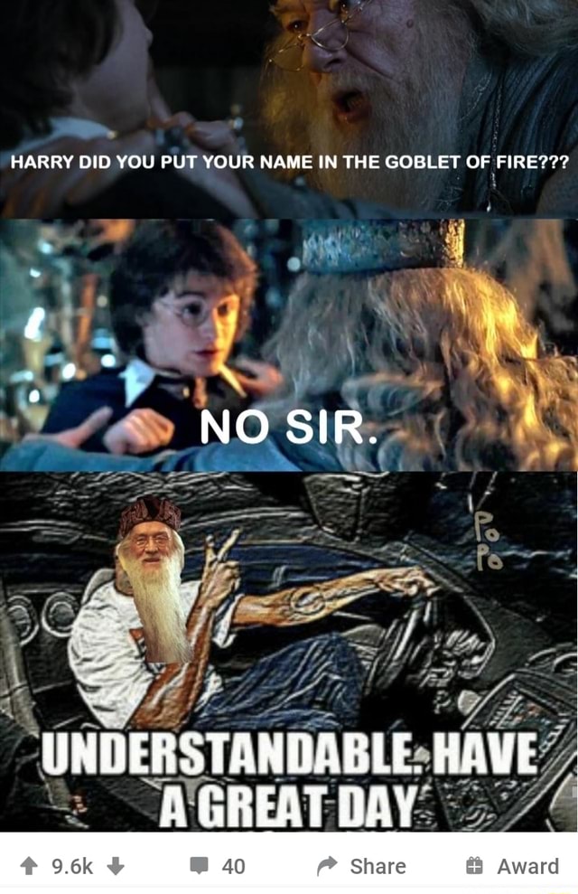 harry-did-you-put-your-name-in-the-goblet-of-fire-ifunny