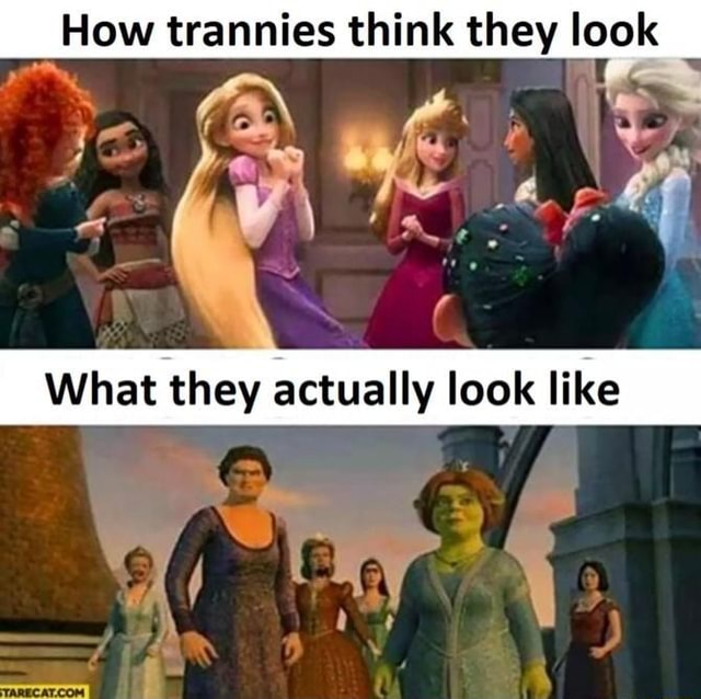 How trannies think look What they actually look like - iFunny