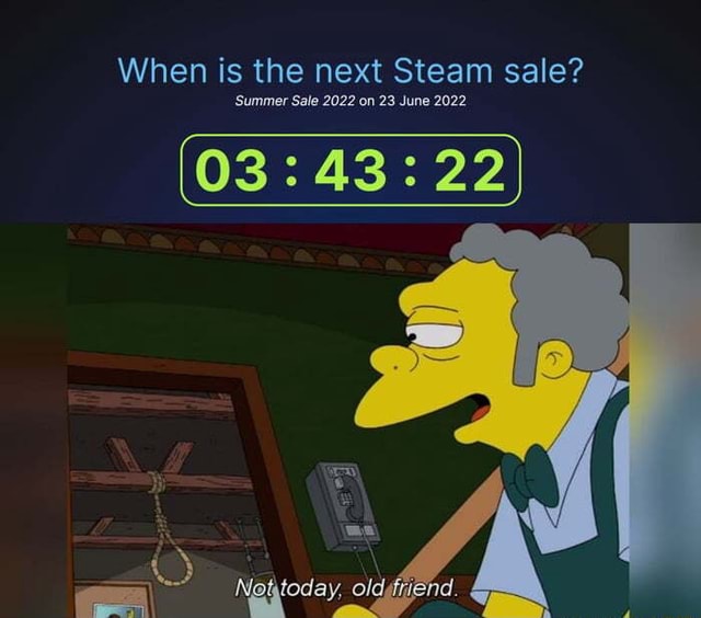 next steam sale