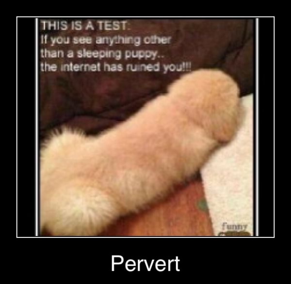 Pervert test the how perverted