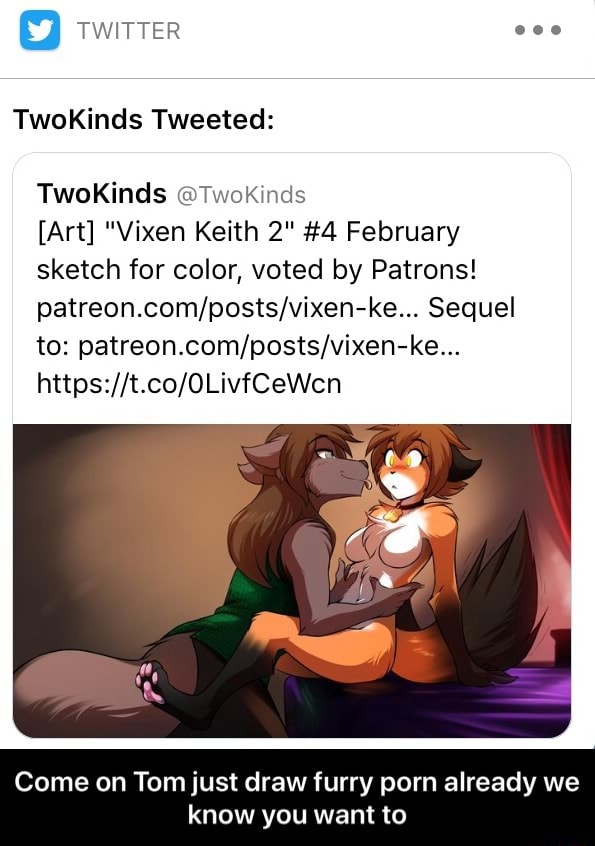 Furry Come Porn - Come on Tom just draw furry porn already we know you want to - iFunny