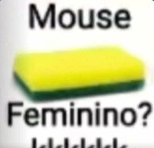 Mouse Feminino? - )