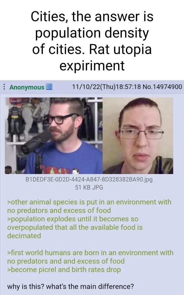 Cities, the answer is population density of cities. Rat utopia