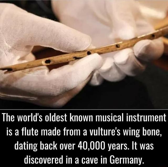 The world's oldest known musical instrument is a flute made from a