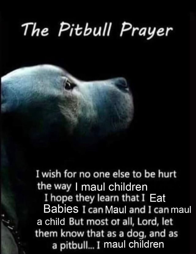 He Pitbull Prayer I Wish For No One Else To Be Hurt The Way I Maul 