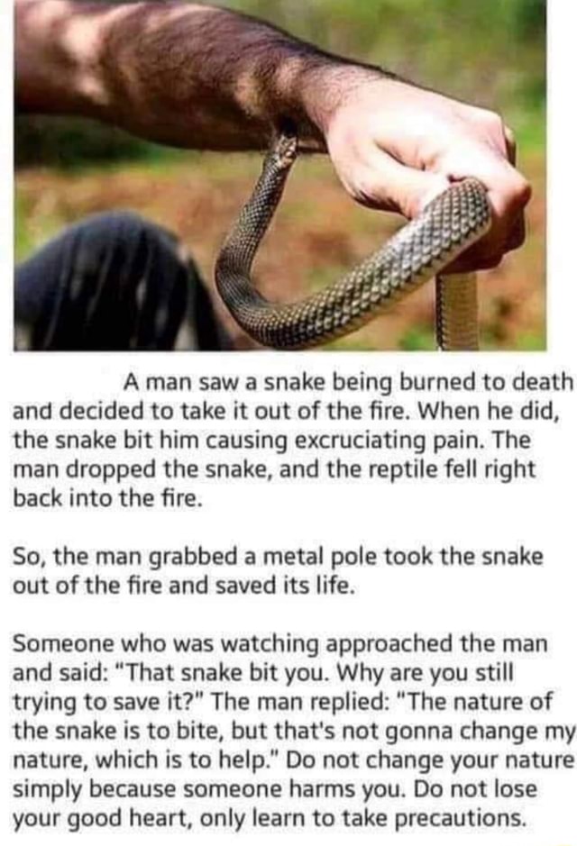 A man saw a snake being burned to death and decided to take it out of ...