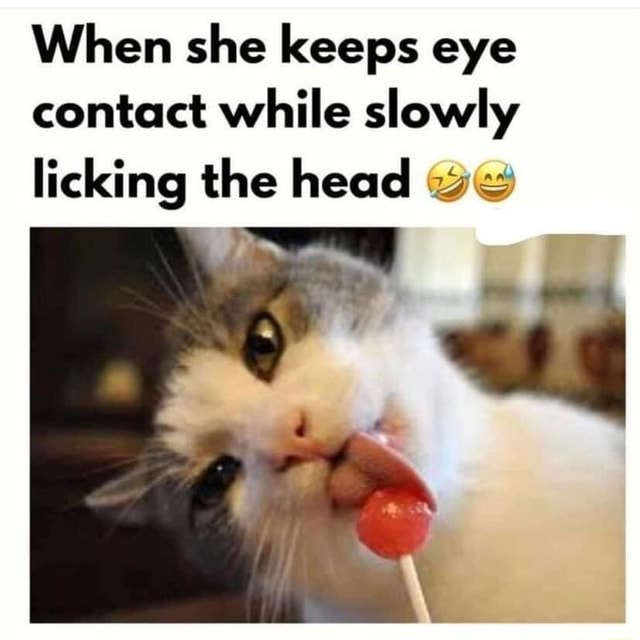 When She Keeps Eye Contact While Slowly Licking The Head Be Ifunny