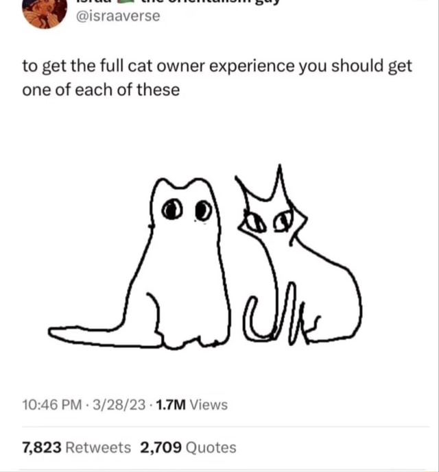 To get the full cat owner experience you should get one of each of
