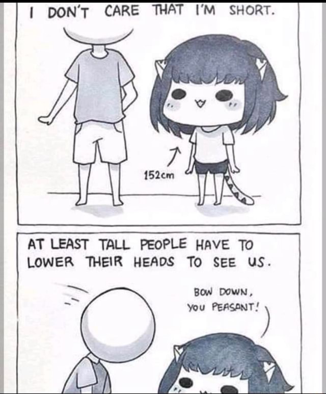 how to write i don't care in short form