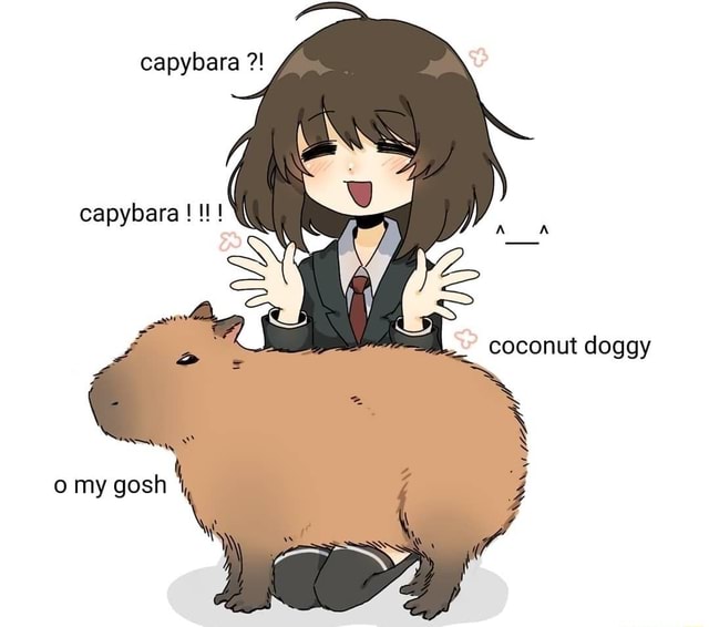 Capybara capybara ! coconut doggy o my gosh iFunny
