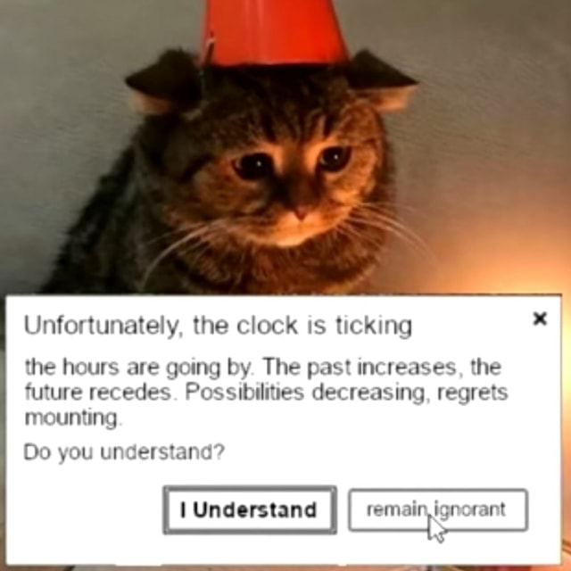 Unfortunately, the clock is ticking the hours are going by. The past