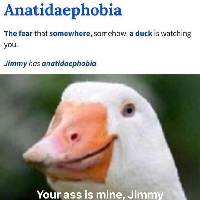 Anatidaephobia The fear that somewhere, somehow, a duck is watching you