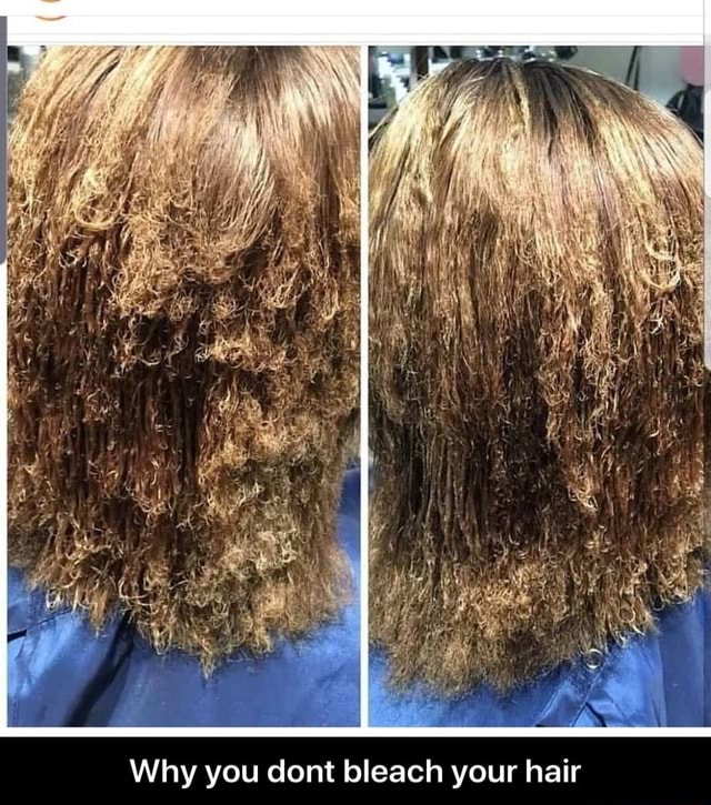 Why you dont bleach your hair Why you dont bleach your hair iFunny
