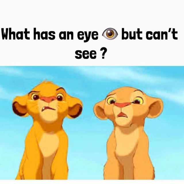 What has an eye but can t see i ifunny