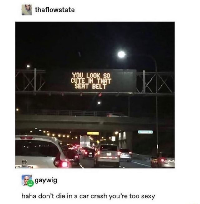 Haha don’t die in a car crash you’re too sexy iFunny