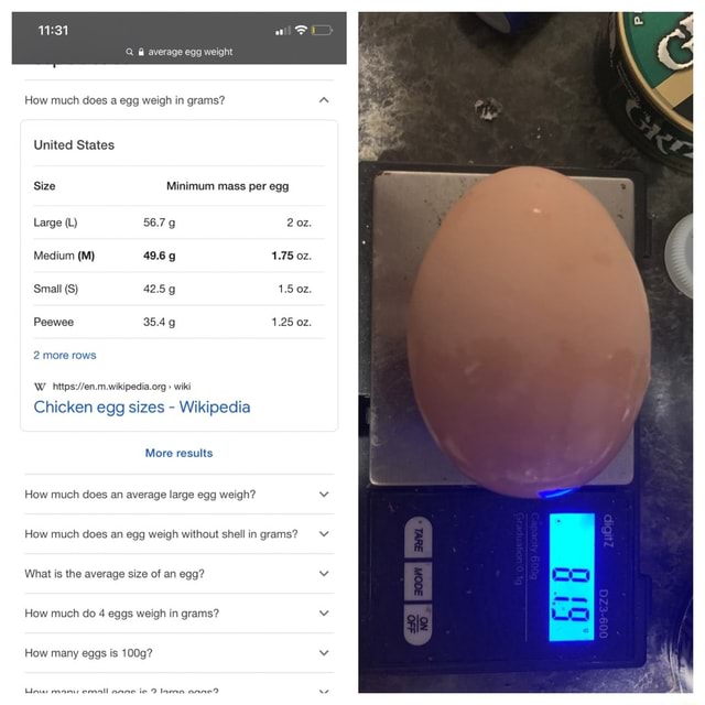 Average egg weight How much does a egg weigh in grams? United States