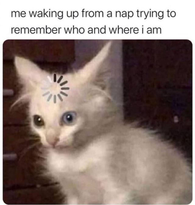 Me Waking Up From A Nap Trying To Remember Who And Where I Am - Ifunny